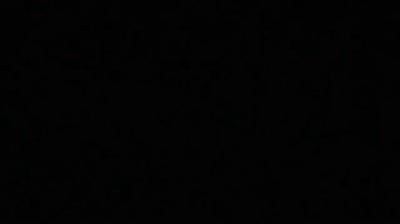 07 Paradise Kiss - Farfalla