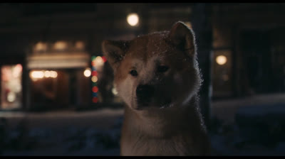 Sempre.ao.Seu.Lado.2009..1080p.DUBLADO