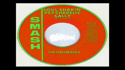 Hallmarks (1967) - Soul Shakin' Psychedelic Sally