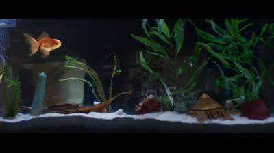 Cavaleiro da Lua - 01x01 (Dublado/2022)