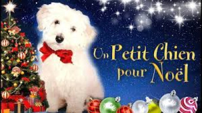 Un Petit chien pour Noël (2020)