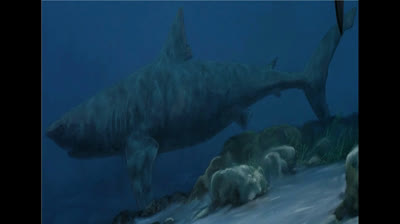 todo sobre el Cretoxyrhina.mp4