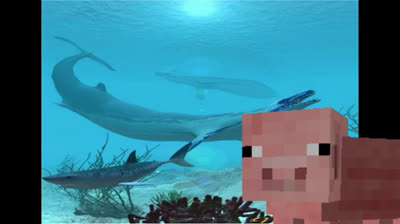 todo sobre el basilosaurus (cerdo XD).mp4