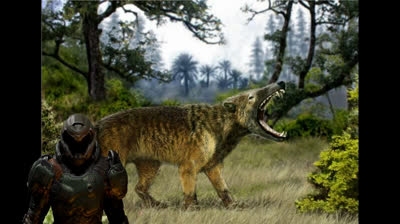 todo sobre el Hyaenodon (thothy).mp4