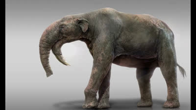 todo sobre el  Deinotherium.mp4