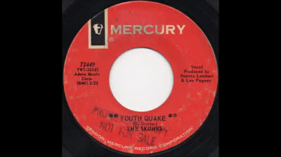 Skunks (1965) - Youth Quake