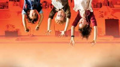 Irrésistibles canailles (2008)