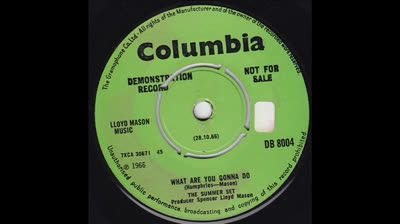 Summer Set (1966) - What are you gonna do